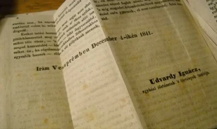 
	Egy tudományos plágiumvita az 1840-es években
