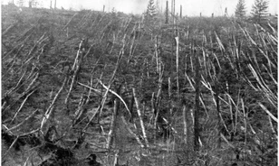 
	Évszázados rejtély lett az 1908-as tunguszkai üstökösből

