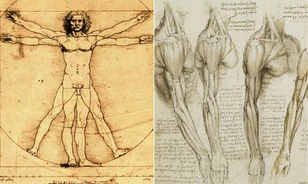 
	Hihetetlen anatómiai pontossággal dolgozott Leonardo
