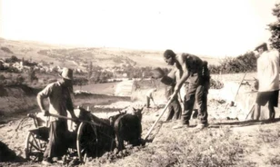 Romlott húst a munkásoknak 