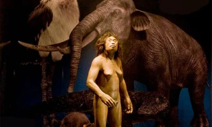 
	A szigeti élőhelye miatt lehetett kisebb agya a hobbitnak
