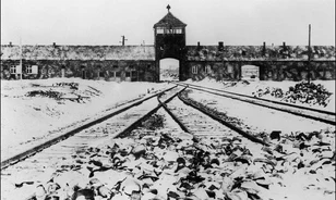 
	Letartóztattak egy auschwitzi őrt Németországban
