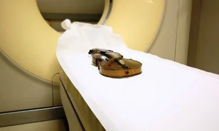 
	Megerősítették a Titanic-hegedű eredetiségét
