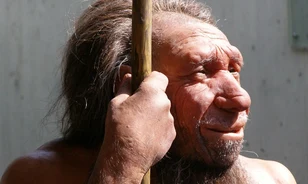 
	Volt-e a neandervölgyinek anyanyelve?
