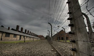 
	Hajsza az auschwitzi női őrök után
