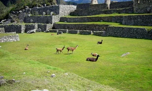 Hamarosan a Machu Picchut is feltérképezheti a Street View
