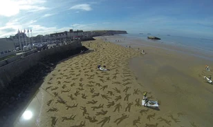
	Fantasztikus installáció készült a D-Day helyszínén
