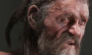Halála előtt sajtot ehetett Ötzi
