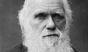 Plagizálhatott Darwin?
