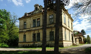 Azok a csodálatos Gindly lányok
