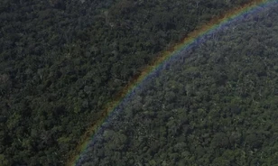 Földművelők éltek egykoron az Amazonas mélyén
