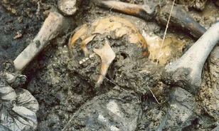 Börtön jár a srebrenicai népirtás tagadásáért
