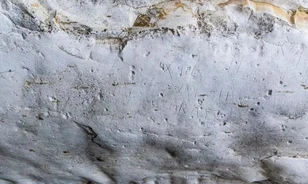 Világháborús graffitit találtak egy rituális fürdőnél
