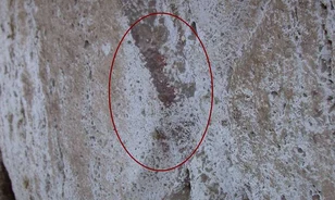 Számozott szektorok voltak a Colosseumban

