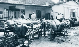 Hogy hajtották végre rekordsebességgel a kollektivizálást Magyarországon?
