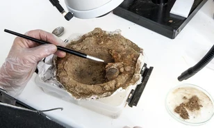 Iszlám érméket rejtett a viking pajzsdudor
