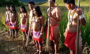 Eltemették vérmintáikat a yanomami indiánok
