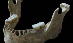 Őseink jóval közelebb állhattak a neandervölgyiekhez, mint gondoltuk
