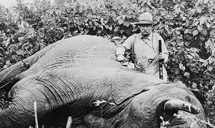 Cecil oroszlán gyilkosa elbújhat Teddy Roosevelt mellett
