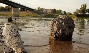 Újra előbukkantak az első Tisza-híd cölöpmaradványai
