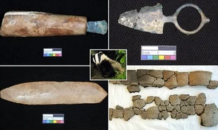 Borz segítségével találtak rá a bronzkori sírra
