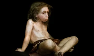 Életképtelen utódok születtek a neandervölgyi férfi és a modern emberhez tartozó nő frigyéből
