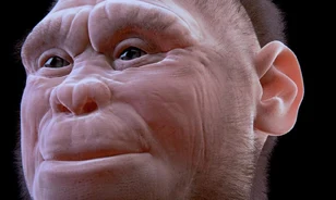 Fogak árulkodnak arról, hogy őseink kiirthatták a hobbitokat
