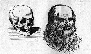 Titokzatos maradványokból nyerhetik ki da Vinci DNS-ét
