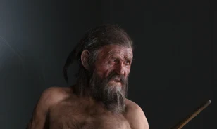 Mégsem nyílvessző okozhatta Ötzi halálát
