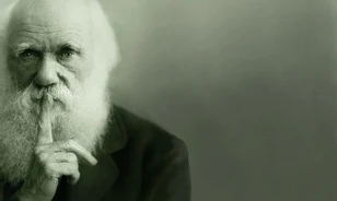 Tudományos és egyházi körökben egyaránt vihart kavart Darwin elmélete a fajok eredetéről
