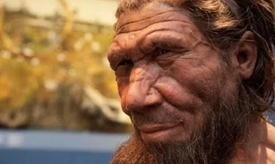 Neandervölgyiek keze nyomát viselik az eddig talált legrégebbi faeszközök