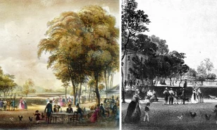 Állatok a Városliget szigetein és vizeiben