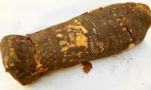Különleges varázserővel bírhatott a sólyomnak hitt egyiptomi magzatmúmia