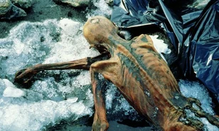 Közvetlenül halála előtt élesíthette meg eszközeit Ötzi