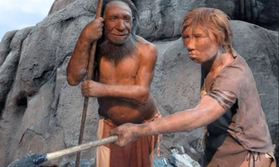 Finommotoros mozgásokra is képes volt a neandervölgyiek keze