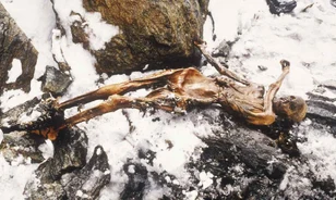 Akupunktúrával és gyógynövényekkel kezelhette magát Ötzi