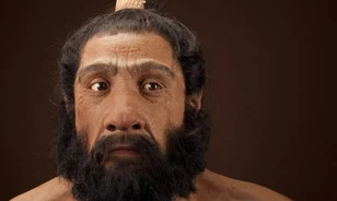 Mégsem voltak agresszívebbek a neandervölgyiek a mai embernél