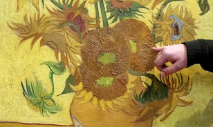 Örökre Amszterdamban maradnak Van Gogh napraforgói