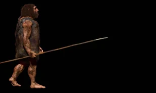 20 méterről is eltalálhatták a vadat lándzsáikkal a neandervölgyiek