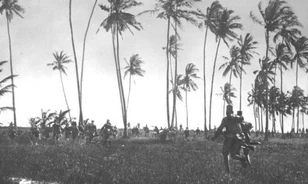Egy méhraj állította meg Német Kelet-Afrika brit invázióját 1914-ben