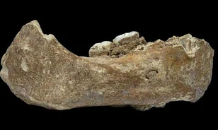 Tibet magaslatait is meghódította a rejtélyes gyenyiszovai ember