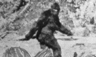 Az 1970-es években az FBI is vizsgálta a rejtélyes Nagyláb kérdését