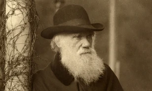 Több mint félmillió dollárért kelt el Darwin könyvének egy eredeti példánya