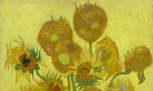 Megviselte az idő Van Gogh napraforgóit