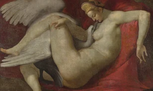 Michelangelo huncut hattyúja