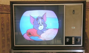Több magyar elme is kivette részét a színes televízió kifejlesztéséből