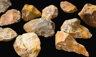Apró kőpengékkel dolgozta fel zsákmányát félmillió éve a Homo erectus