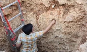 Az eddig véltnél jóval hamarabb benépesíthette a Földközi-tenger térségét az ősember