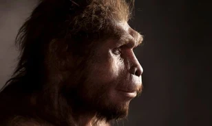 Az eddig véltnél jócskán tovább élhetett a Földön az ember közvetlen őse, a Homo erectus