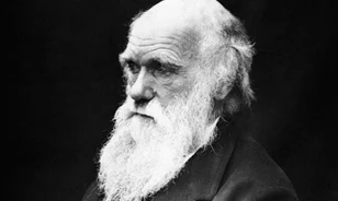 Az isteni teremtés és a korábbi rendszertanok hívei egyaránt támadták Darwin nézeteit
